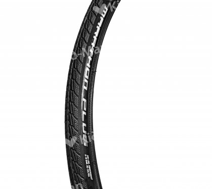 PADANGA SCHWALBE MARATHON PLUS EVOLUTION, DYDIS 25X590 MM